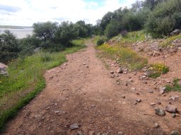 Flora del Cerro Masatrigo
